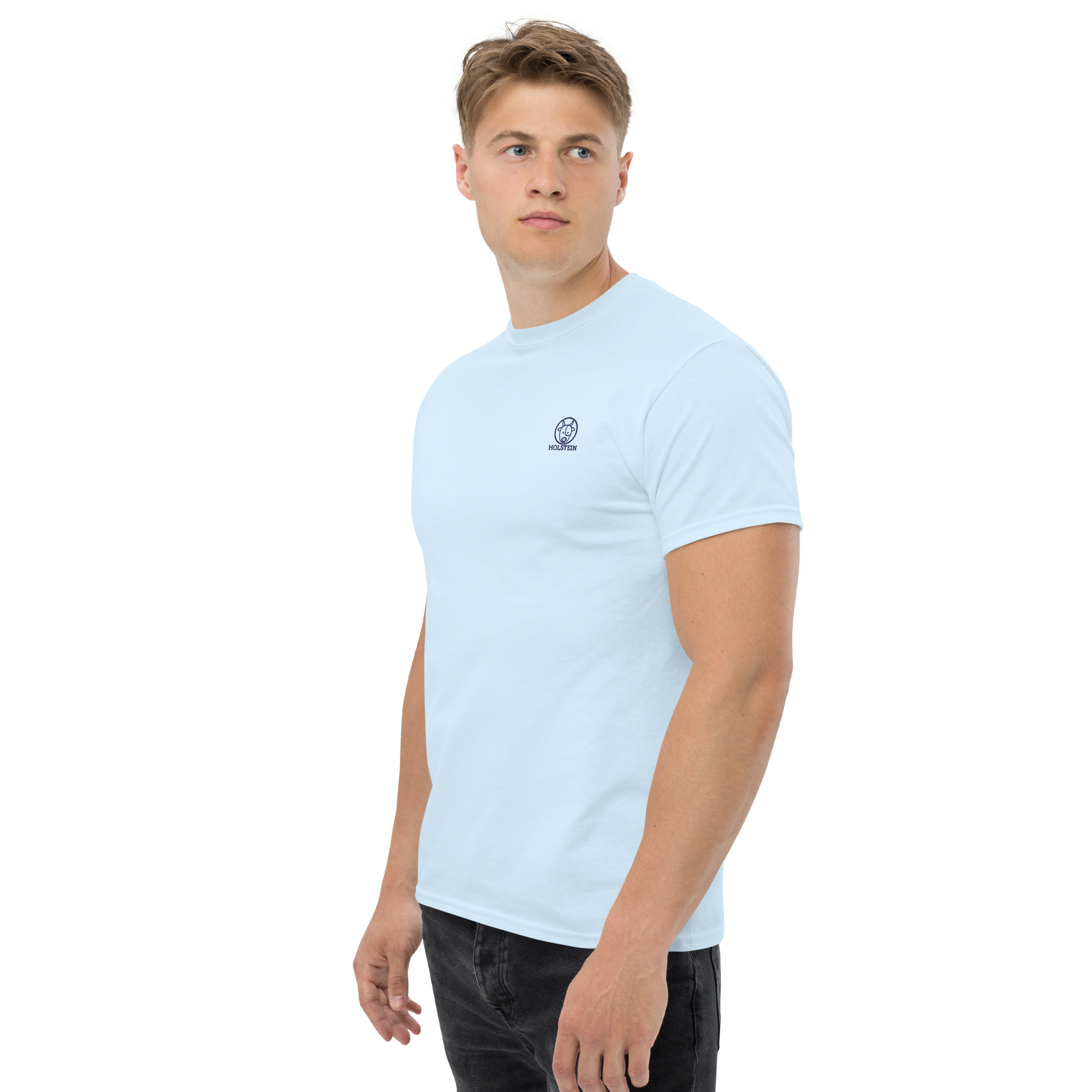 CAMISETA LOGO HOLSTEIN