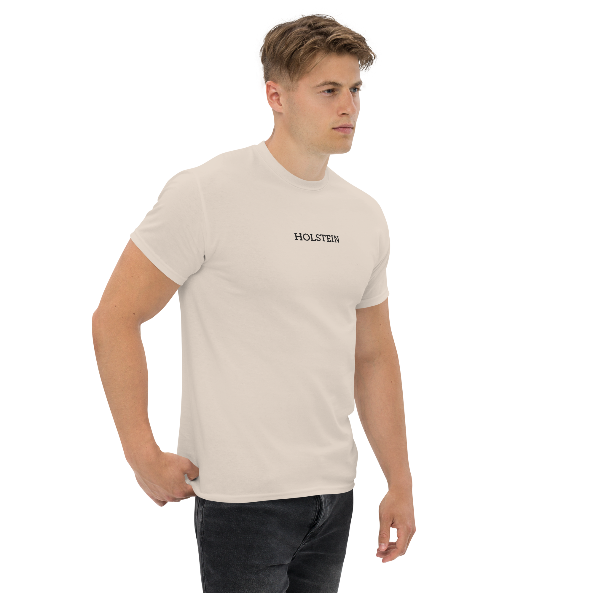 CAMISETA HOLSTEIN BASIC