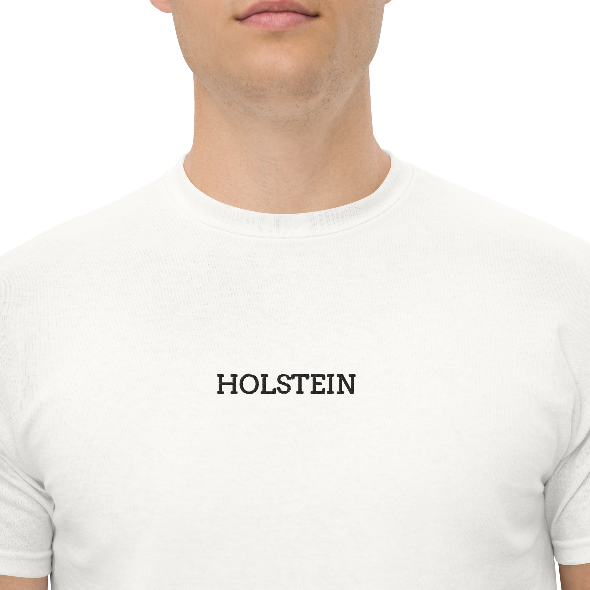 CAMISETA HOLSTEIN BASIC
