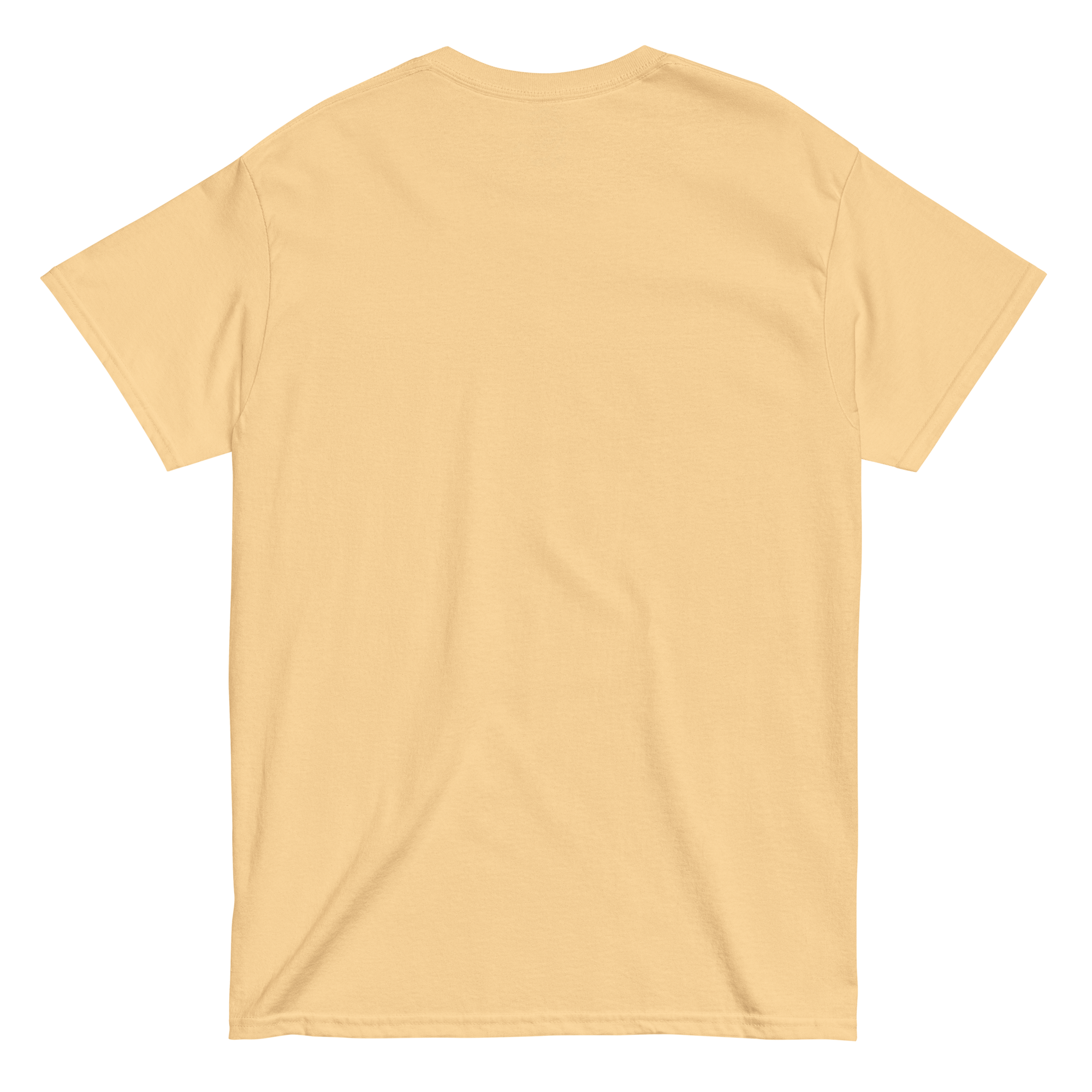 CAMISETA LOGO HOLSTEIN