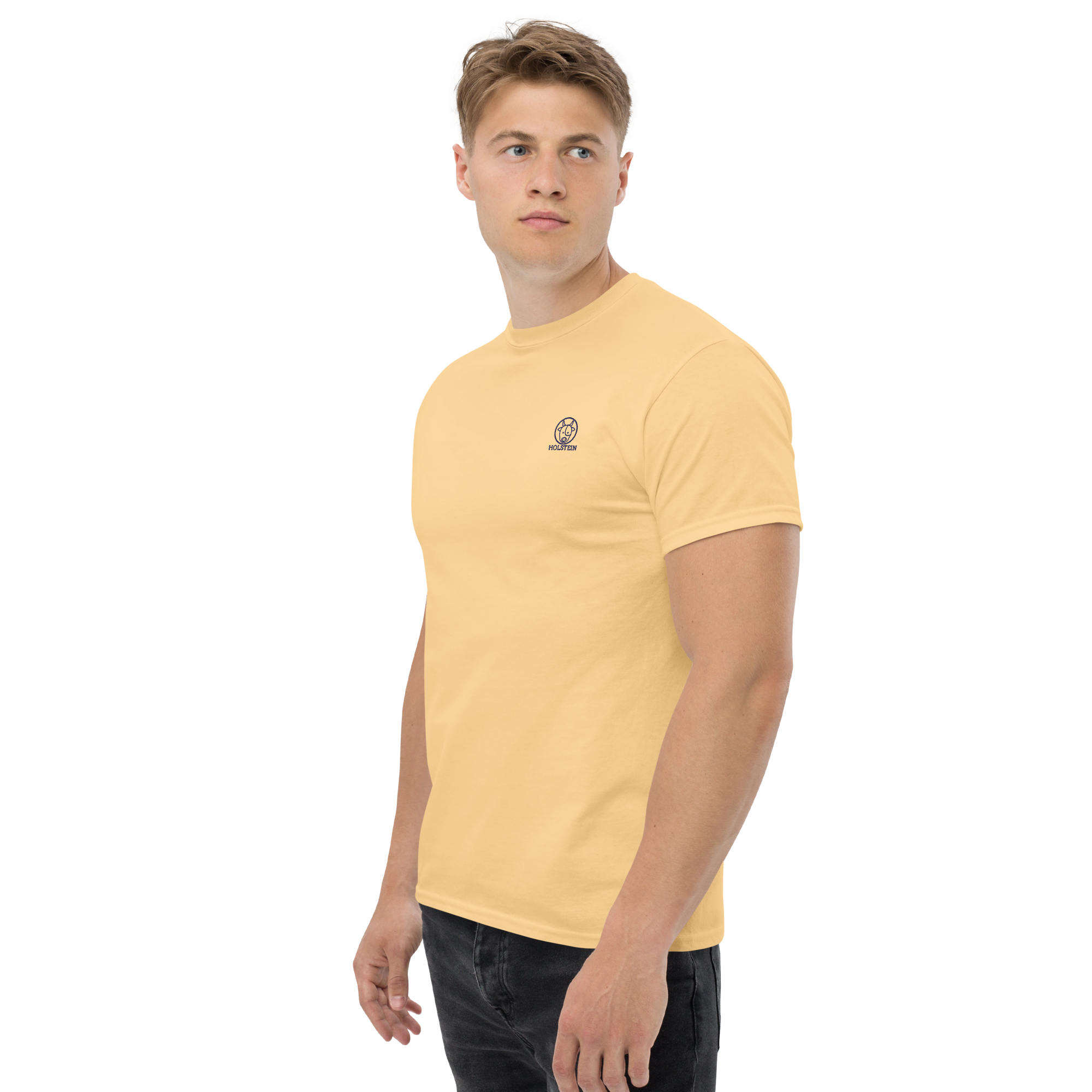 CAMISETA LOGO HOLSTEIN