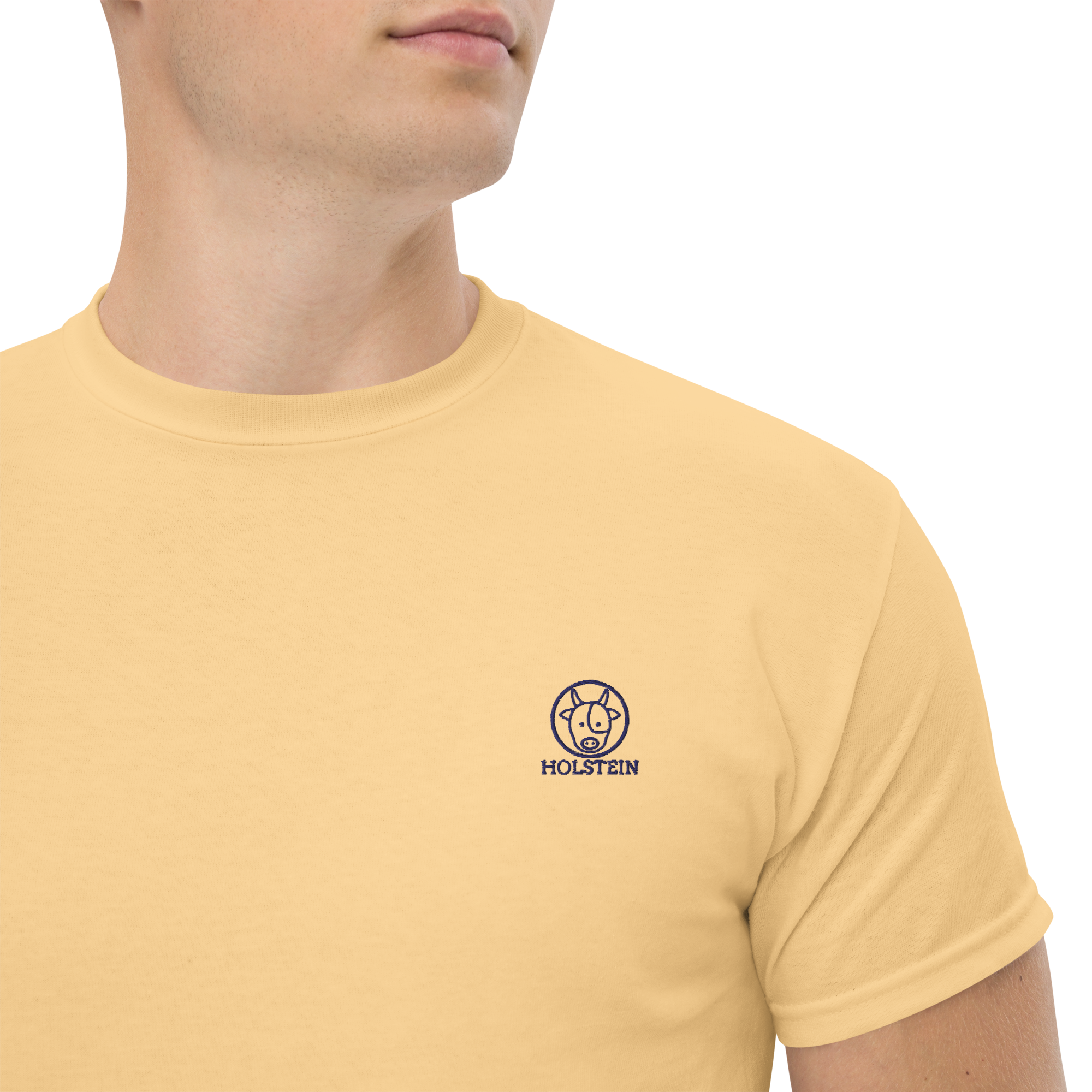 CAMISETA LOGO HOLSTEIN